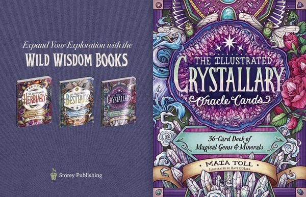 Produktbild: Illustrated Crystallary Oracle Cards