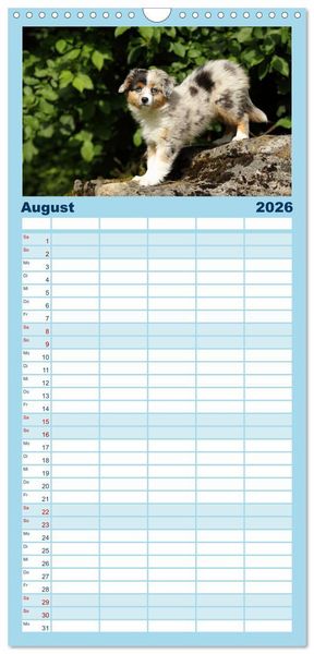 Produktbild: Familienplaner 2026 - Welpen - Puppies mit 5 Spalten (Wandkalender, 21 x 45 cm) CALVENDO