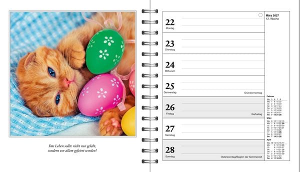 Produktbild: Diary Schmusekatzen 2027