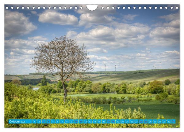 Produktbild: Natur pur - Volkach am Main (Wandkalender 2026 DIN A4 quer), CALVENDO Monatskalender