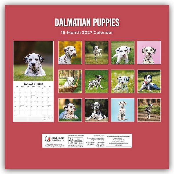 Produktbild: Dalmatian Puppies &ndash; Dalmatiner Welpen 2027 &ndash; 16-Monatskalender
