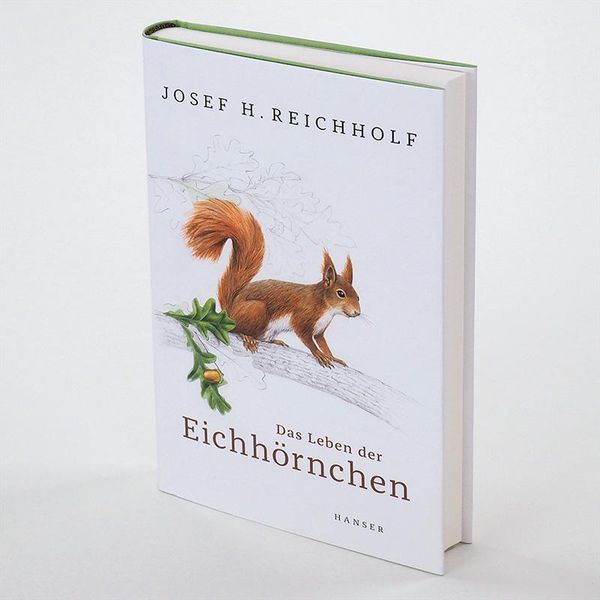 Produktbild: Das Leben der Eichh&ouml;rnchen