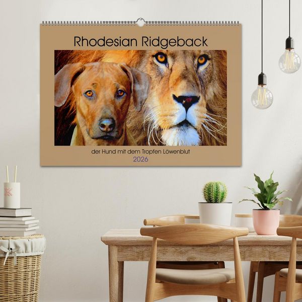 Produktbild: Rhodesian Ridgeback der Hund mit dem Tropfen L&ouml;wenblut (Wandkalender 2026 DIN A2 quer), CALVENDO Monatskalender
