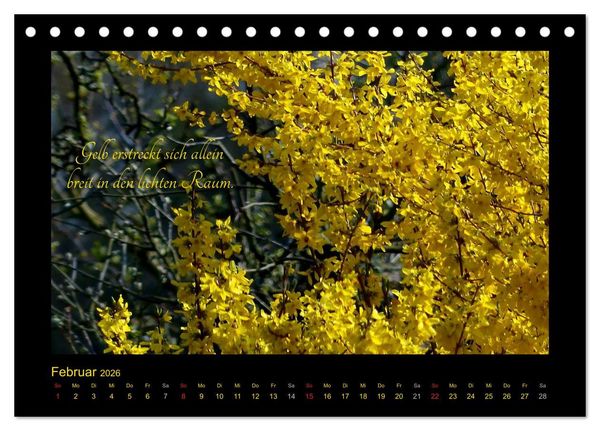Produktbild: Goethes Gelb Gedanken zur Farbe (Tischkalender 2026 DIN A5 quer), CALVENDO Monatskalender