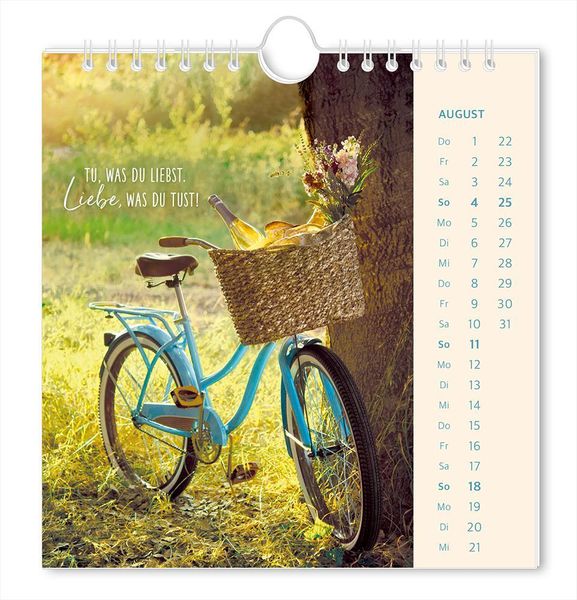 Postkartenkalender 2024 Lichtblicke