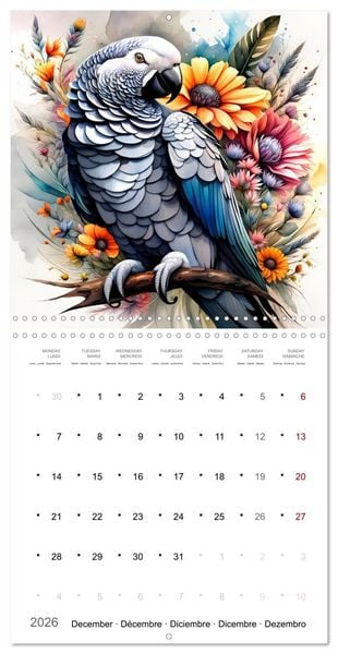 Produktbild: Des perroquets color&eacute;s (Calendrier mural carr&eacute; 2026 30x30 cm) Calendrier double avec une page pour vos prises de notes