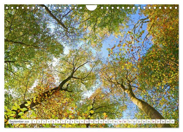 Produktbild: Naturlandschaften zwischen Himmel und Erde (Wandkalender 2026 DIN A4 quer), CALVENDO Monatskalender