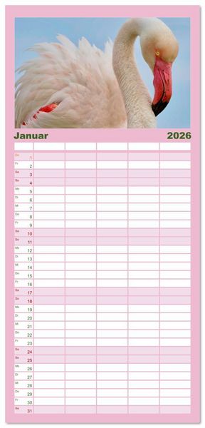 Produktbild: Familienplaner 2026 - The Power Of Pink mit 5 Spalten (Wandkalender, 21 x 45 cm) CALVENDO