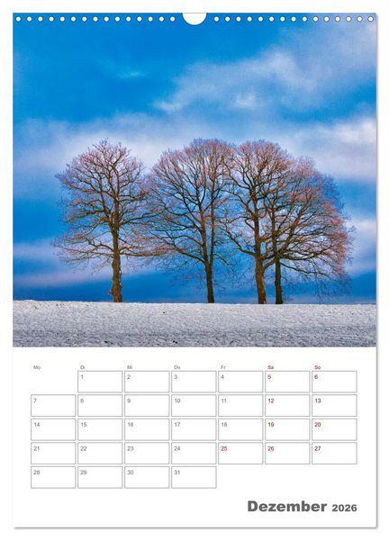 Produktbild: Planen mit dem Symbol der inneren St&auml;rke (Wandkalender 2026 DIN A3 hoch), CALVENDO Monatskalender