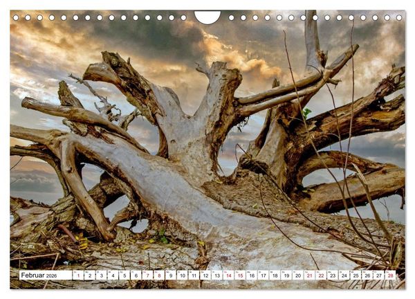 Produktbild: Beckerwitz - Impressionen aus der Wohlenberger Wiek (Wismarer Bucht) (Wandkalender 2026 DIN A4 quer), CALVENDO Monatskalender