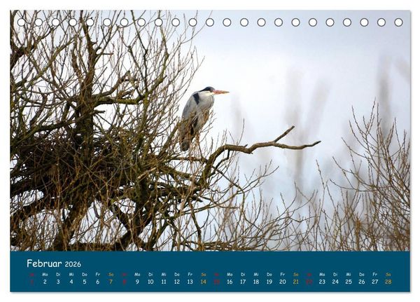 Produktbild: Naturschutzgebiet W&uuml;mme (Tischkalender 2026 DIN A5 quer), CALVENDO Monatskalender