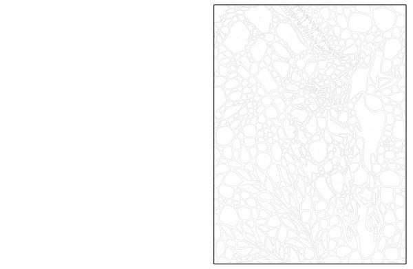 Produktbild: Ausmalen und Entdecken