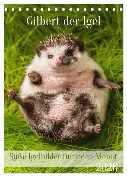 Produktbild: Gilbert der Igel (Tischkalender 2026 DIN A5 hoch), CALVENDO Monatskalender