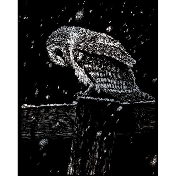 Produktbild: PRACHT Kratzbild Eule silber 20x25cm