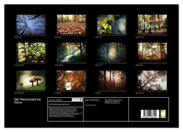 Produktbild: Der Reichswald bei Kleve (hochwertiger Premium Wandkalender 2026 DIN A2 quer), Kunstdruck in Hochglanz