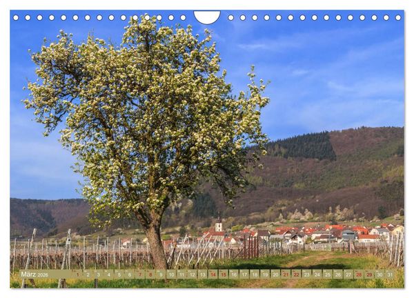Produktbild: Augenschmaus Pf&auml;lzer Wald (Wandkalender 2026 DIN A4 quer), CALVENDO Monatskalender