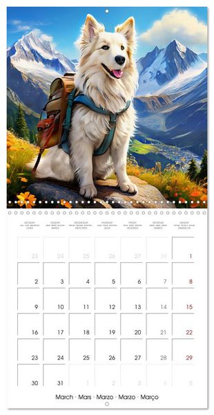 Produktbild: Cute pets discover the world (Wall Calendar 2026 12 &times; 12 Inch) CALVENDO 12 Month Wall Calendar
