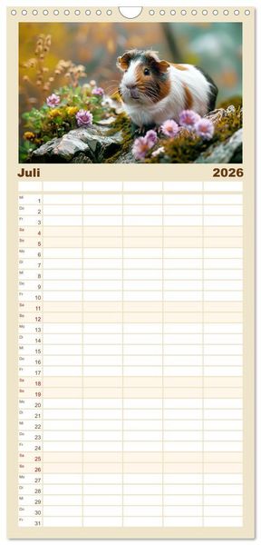 Produktbild: Familienplaner 2026 - Wuschelbande - Ein Jahr voller Meerschweinchen mit 5 Spalten (Wandkalender, 21 x 45 cm) CALVENDO