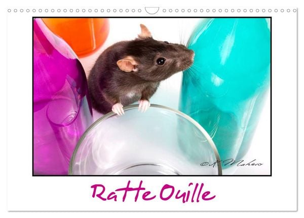 Produktbild: Ratte Ouille (Calendrier mural 2026 DIN A3 vertical), CALVENDO calendrier mensuel