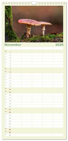 Produktbild: Familienplaner 2026 - Die Welt der Fliegenpilze mit 5 Spalten (Wandkalender, 21 x 45 cm) CALVENDO