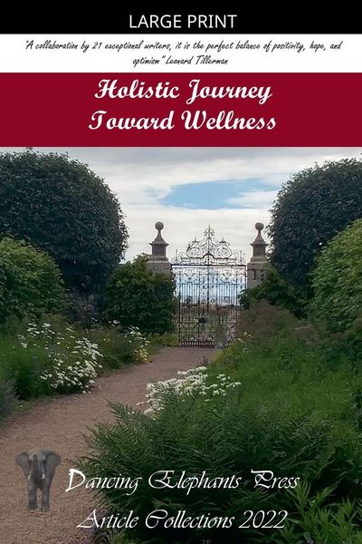 Produktbild: Holistic Journey Toward Wellness