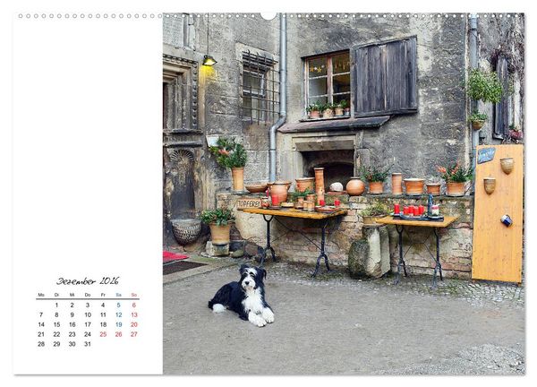 Produktbild: Naumburg/Saale - Bilder einer liebenswerten Stadt (Wandkalender 2026 DIN A2 quer), CALVENDO Monatskalender