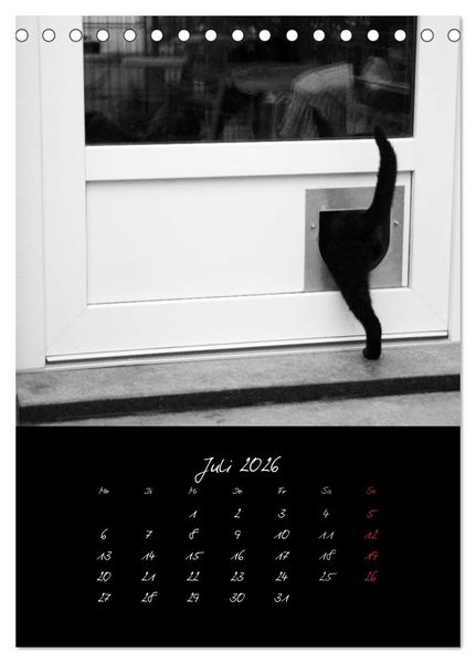 Produktbild: Katzenalltag 2026 (Tischkalender 2026 DIN A5 hoch), CALVENDO Monatskalender