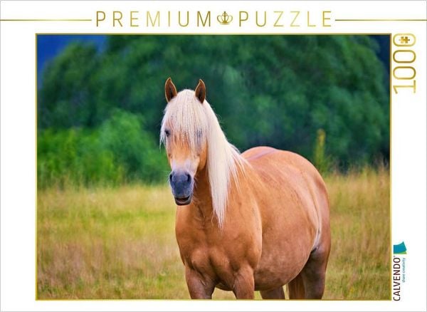 Produktbild: CALVENDO Puzzle Haflinger | 1000 Teile Lege-Gr&ouml;&szlig;e 64x48cm Foto-Puzzle f&uuml;r gl&uuml;ckliche Stunden