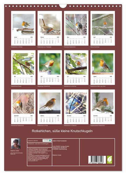 Produktbild: Rotkehlchen, s&uuml;&szlig;e kleine Knutschkugeln (Wandkalender 2026 DIN A3 hoch), CALVENDO Monatskalender