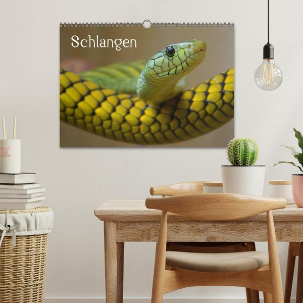 Produktbild: Schlangen (Wandkalender 2026 DIN A3 quer), CALVENDO Monatskalender