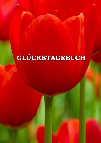Glückstagebuch, Taschenbuch von Gábor Miskovics, Epubli, 978-3-7418-5626-6