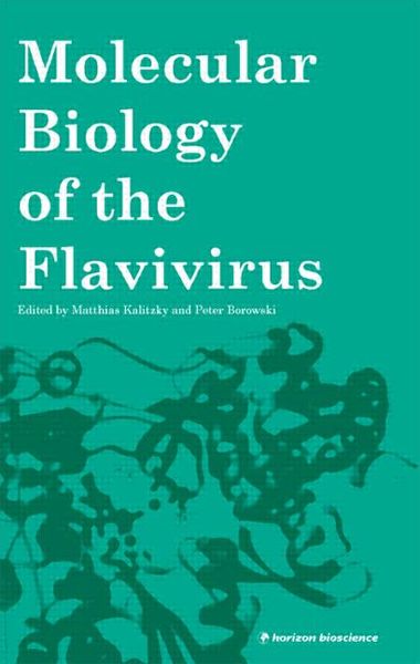 Produktbild: Kalitzky, M: Molecular Biology of the Flavivirus