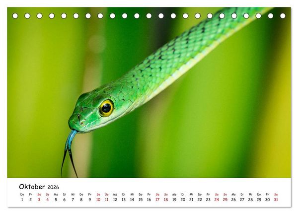 Produktbild: Mythos Schlangen (Tischkalender 2026 DIN A5 quer), CALVENDO Monatskalender