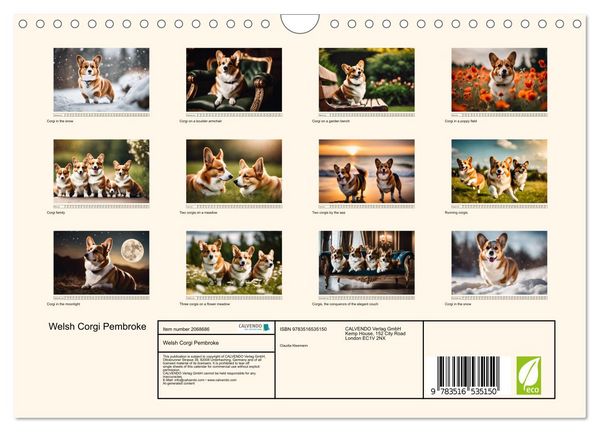 Produktbild: Welsh Corgi Pembroke (Wall Calendar 2026 DIN A4 landscape), CALVENDO 12 Month Wall Calendar