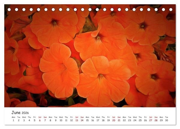 Produktbild: Vivacious Florals (Desk Calendar 2026 DIN A5 landscape), CALVENDO 12 Month DeskCalendar