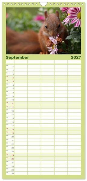 Produktbild: Familienplaner 2027 - Eichh&ouml;rnchen Kinder mit 5 Spalten (Wandkalender, 21 x 45 cm) CALVENDO