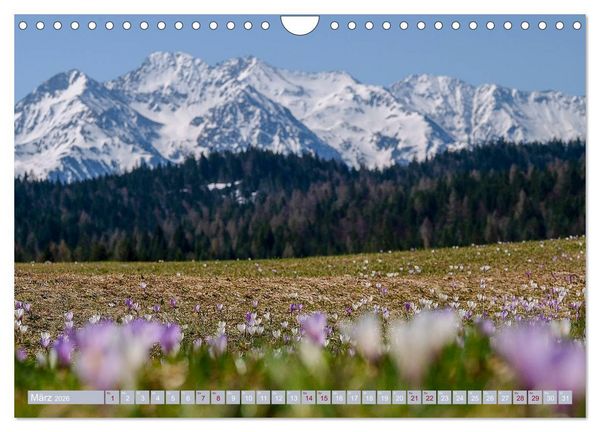 Produktbild: Mein Tirol und Alpenvorland (Wandkalender 2026 DIN A4 quer), CALVENDO Monatskalender