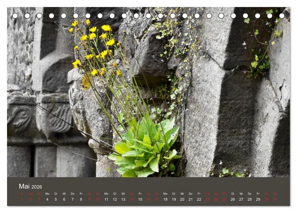 Produktbild: im stift zu bad hersfeld (Tischkalender 2026 DIN A5 quer), CALVENDO Monatskalender