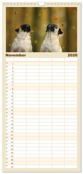 Produktbild: Familienplaner 2026 - Lustige M&ouml;pse aus der Hundeknipserei mit 5 Spalten (Wandkalender, 21 x 45 cm) CALVENDO