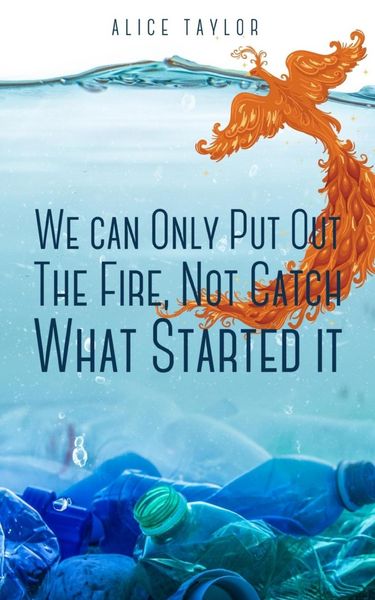 Produktbild: We can Only Put Out The Fire, Not Catch What Started it.