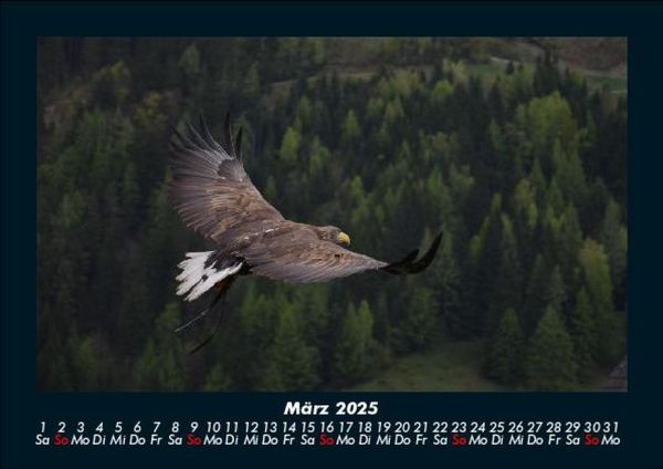 Produktbild: Adler 2025 Fotokalender DIN A5