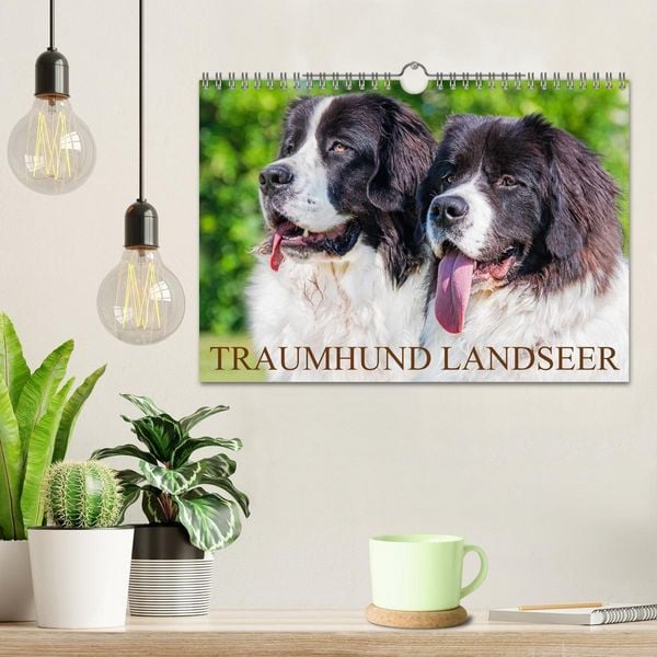Produktbild: Traumhund Landseer (Wandkalender 2027 DIN A4 quer), CALVENDO Monatskalender