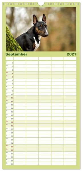 Produktbild: Familienplaner 2027 - Einmal Bullterrier - immer Bullterrier mit 5 Spalten (Wandkalender, 21 x 45 cm) CALVENDO