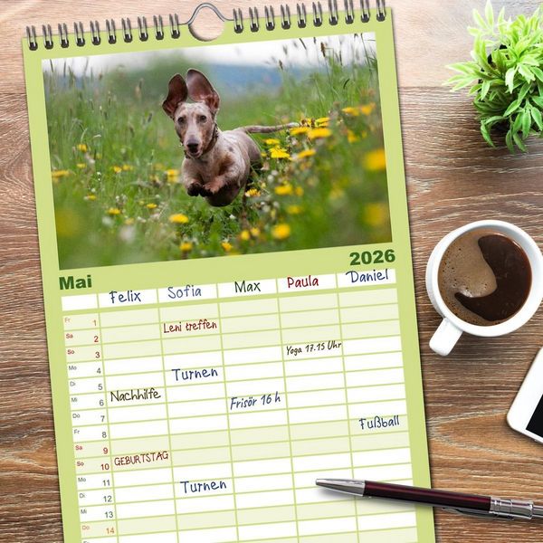 Produktbild: Familienplaner 2026 - DACKEL... wissen was sie wollen... (und was nicht...) mit 5 Spalten (Wandkalender, 21 x 45 cm) CALVENDO