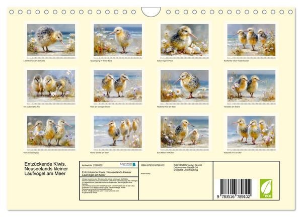 Produktbild: Entz&uuml;ckende Kiwis. Neuseelands kleiner Laufvogel am Meer (Wandkalender 2027 DIN A4 quer), CALVENDO Monatskalender