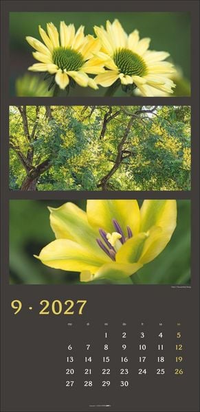 Produktbild: Die Farben der Natur Kalender 2027