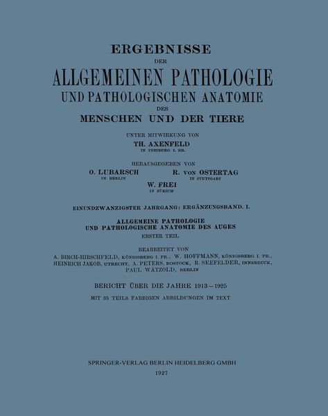 Ergebnisse der Allgemeinen Pathologie und Pathologischen Anatomie des Menschen und der Tiere, Taschenbuch von Th. Axenfeld , Arthur Birch-Hirschfeld ,