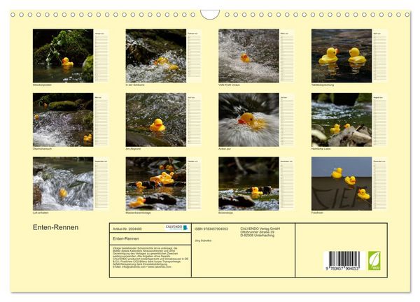 Produktbild: Enten-Rennen (Wandkalender 2026 DIN A3 quer), CALVENDO Monatskalender