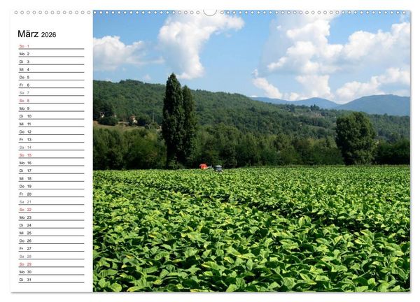 Produktbild: Camino di Assisi - Franziskusweg (Wandkalender 2026 DIN A2 quer), CALVENDO Monatskalender