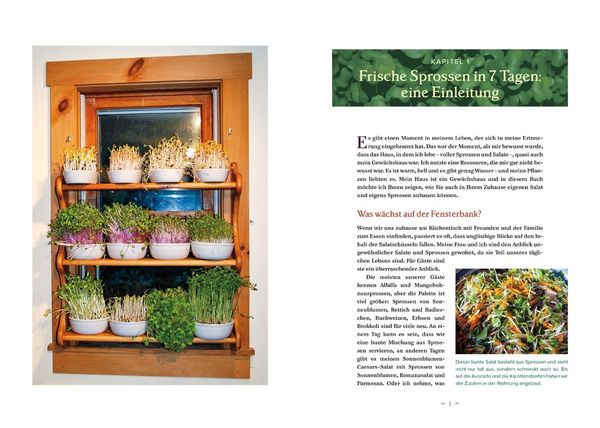 Produktbild: Der Salatgarten f&uuml;r zuhause